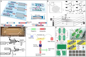 microfluidic chip