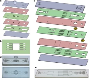 Microfluidic tissue processing platform