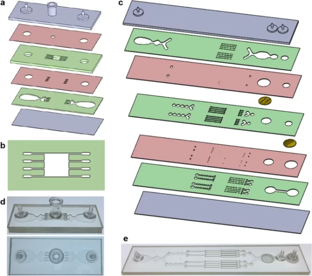Microfluidic tissue processing platform