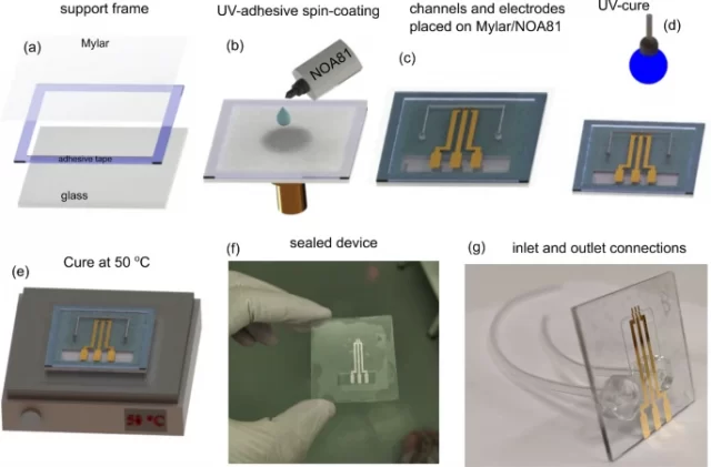 microfluidic chip